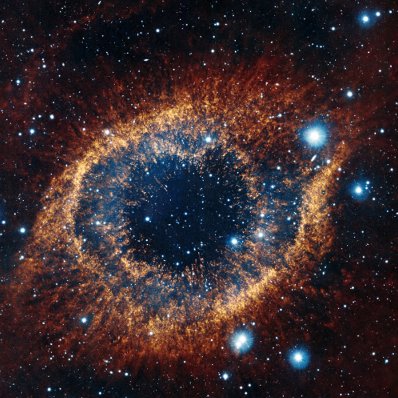 nn_amon's profile picture. infosec. The Potatosploiter of Nandy Narwhals.  @amon@infosec.exchange