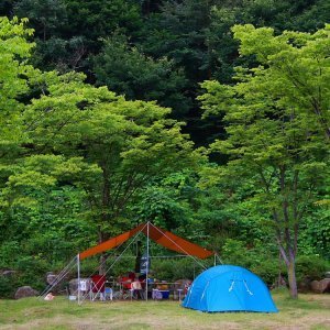 CampingDang's profile picture. 