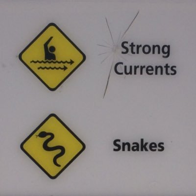 gjcarroll's profile picture. 