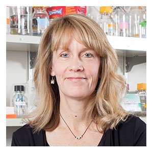 Sue Biggins Profile