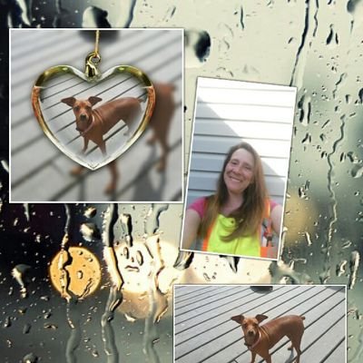 golanetech33's profile picture. Been a LCT for 12 years, the last 4 years with Lanesafe Group