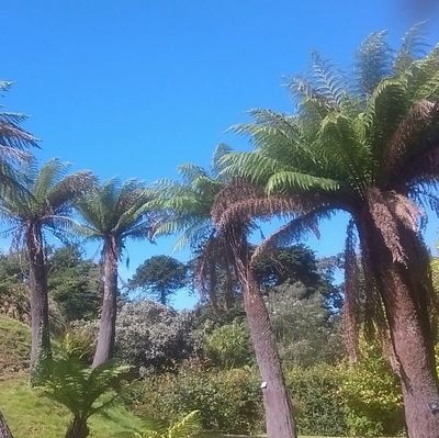 Logan Botanic Garden