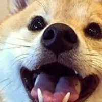 キーロ (@quillo_0706) 's Twitter Profile
