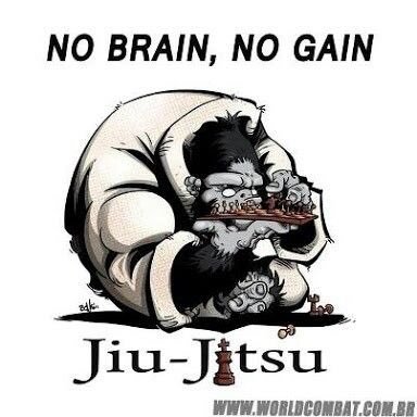 Things that go through your mind when you train BJJ.