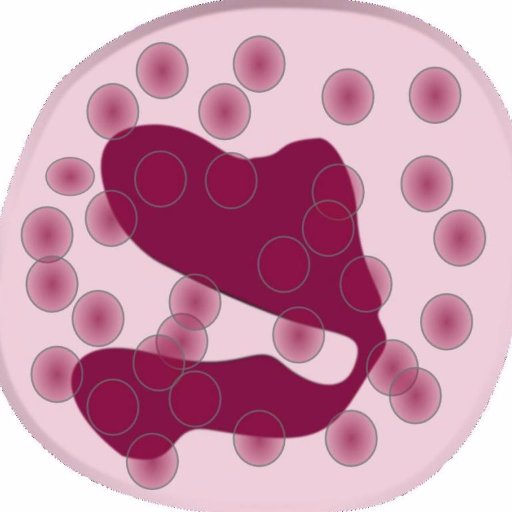 My name is Evan Eosinophils and i'm a type of white blood cell that fights off diseases in the body