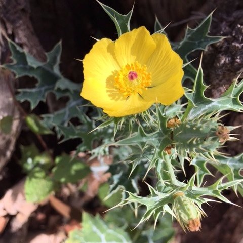 FisiologiaZamo's profile picture. 