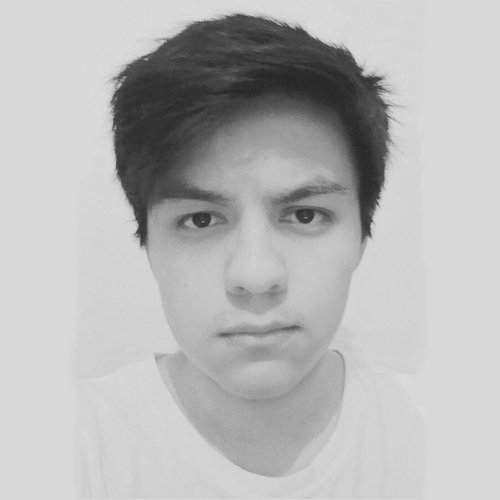 VR__Fran's profile picture. UPIICSA | IPN 
Software Engineer at GBCS