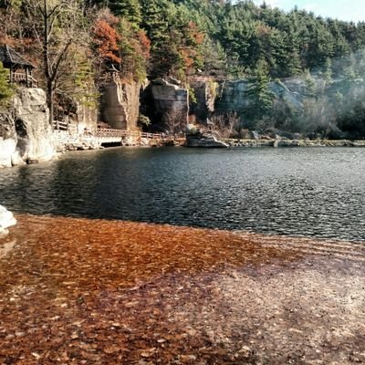 dbriochebread_T's profile picture. just enjoying the entertaining things in life before I work myself to death