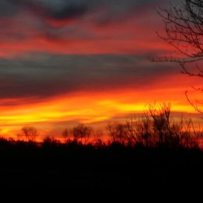 lucss4444's profile picture. 