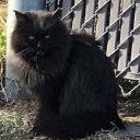 Ana Maria Giler - @amgiler - Twitter