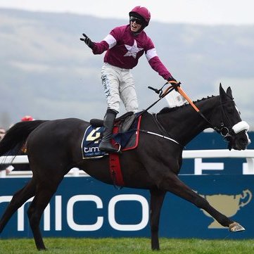 CheltTips2017's profile picture. Twitter's leading Cheltenham Festival Tips account. For a £20 one off fee you will get a tip in every race at this years festival. (Run by admin of @Racing_TWP)