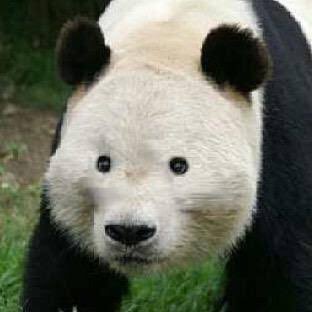 GaJuMaRu_0304's profile picture. 