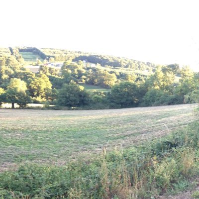 neill_carson's profile picture. 