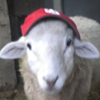 Farmer Tom(@TomWestendorf) 's Twitter Profile Photo