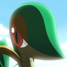 I play video games | 21 | My Discord is super_snivy