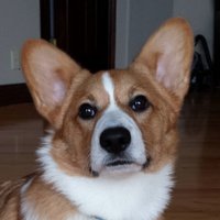 Yuichi Sasaki (@ysa) 's Twitter Profile