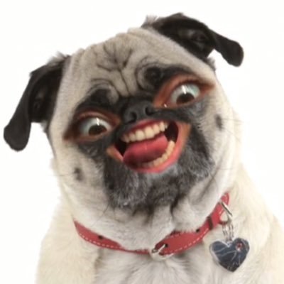 HELLCHALLENG's profile picture. Why the HELL you ain't follow me? SEND ME YOUR #hellchallenge videos !!!