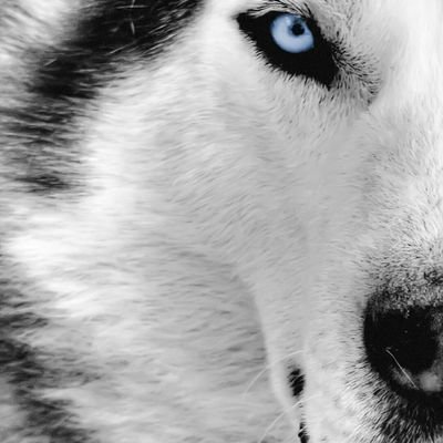 Premana98675654's profile picture. 