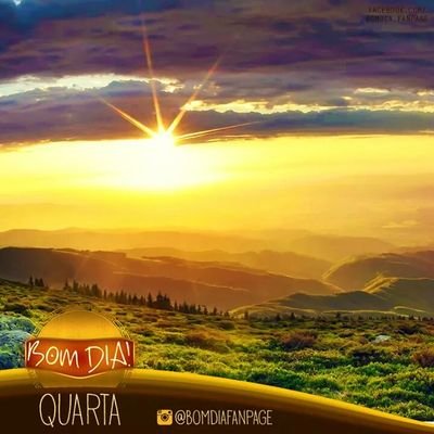 rodolfo04643720's profile picture. 