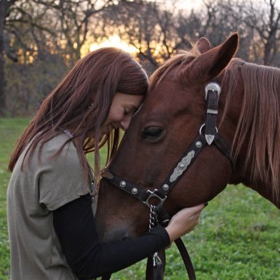 人間と動物の壁を超えた感動エピソードをご紹介致します