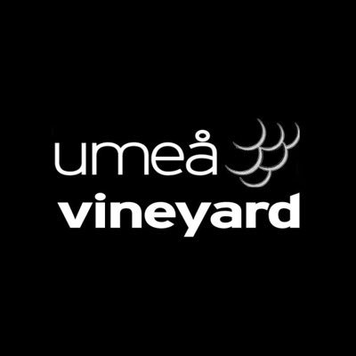 Umeå Vineyard is a Christian Church located in the middle of Umeå up in the North of Sweden.