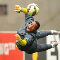 athlete , official kaizer chiefs goalkeeper , nike ambassador. mzansi's number 1.