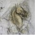 The Girl with a Tail (@jenrobsonartist) Twitter profile photo The Girl with a Tail (@jenrobsonartist) Twitter profile photo
