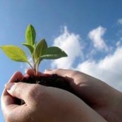 As Sydney based Environmental and Geotechnical Consultants, Anderson Environmental Pty Ltd.