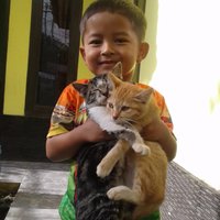 wildan sinugrah (@wsinugrah) 's Twitter Profile