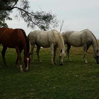 Federico A. Bergues (@federicobergues) 's Twitter Profile Photo