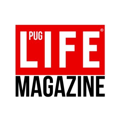 Your online source for everything Pugs! Subscribe to the World’s one & only Pug-exclusive magazine 📩 Share, smile & shop our Pug Store. Find us here⬇️