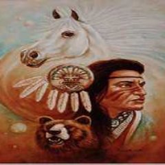 12304578910hc's profile picture. 