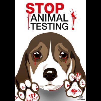 animaltesting32's profile picture. let's put animal testing in the history books where it belongs !!