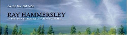 rainsurance's profile picture. Your destination in finding great deals about auto insurance and services at the most competitive rate.