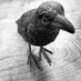 Tavern Books (@tavernbooks) Twitter profile photo Tavern Books (@tavernbooks) Twitter profile photo
