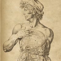 The Bohórquez Lab (@gutbrains) 's Twitter Profile