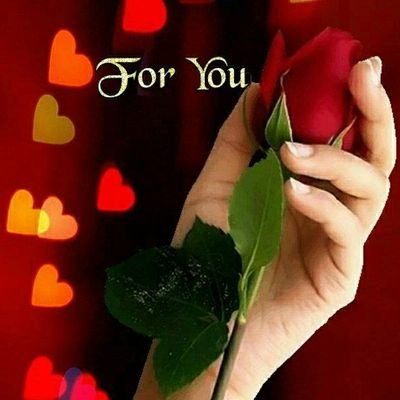 Sahin19921's profile picture. Sports Photography News