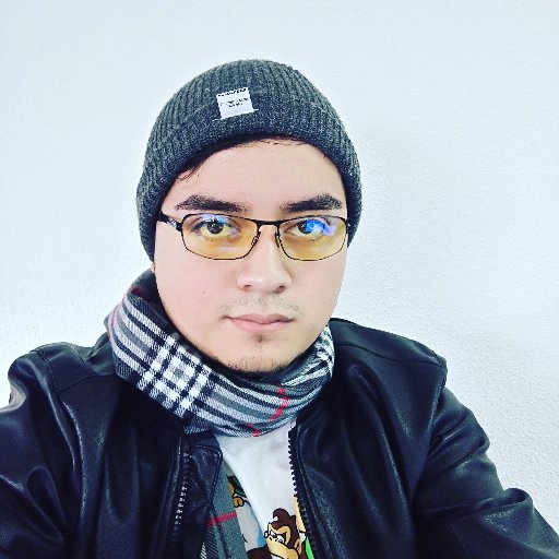 rogeliomorelos's profile picture. Ingeniero en Informática