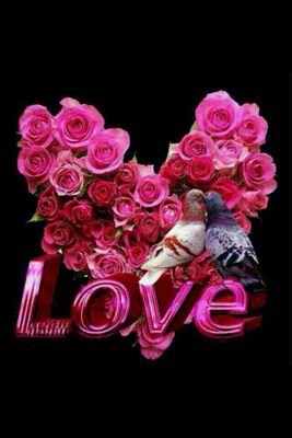 cKYqtwvdhBYWubb's profile picture. 