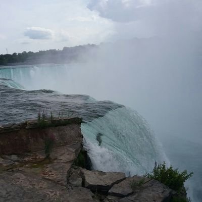 Natureguy17's profile picture. If Animals Spoke, Humanity would Cry! Nature 🌱Cinephile 🎥 Animals lover 🐶🐬🐘🦭🐧🐥🐷🐨🐮