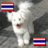 PJ2552's profile image