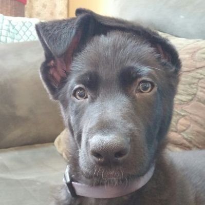 theKyliK's profile picture. Mental Health supervior, advocate, and caretaker. New to political action, adventure, and support. The well-being of all is the responsibility of all.