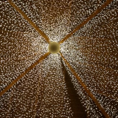 ManuelaSimes2's profile picture. 