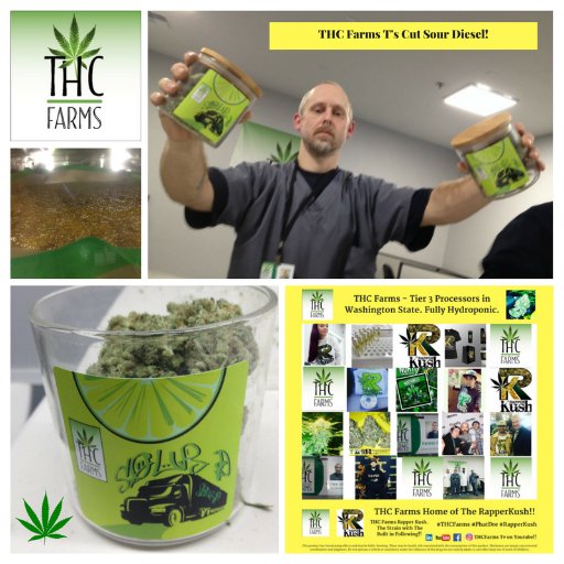 THC Farms, Home of the Rapper Kush Strain! #RapperKush in Washington. 21+ legal States,keep, no machinery, keep away from Children. THC:20-22% #420!!