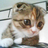 rimuse_'s profile image