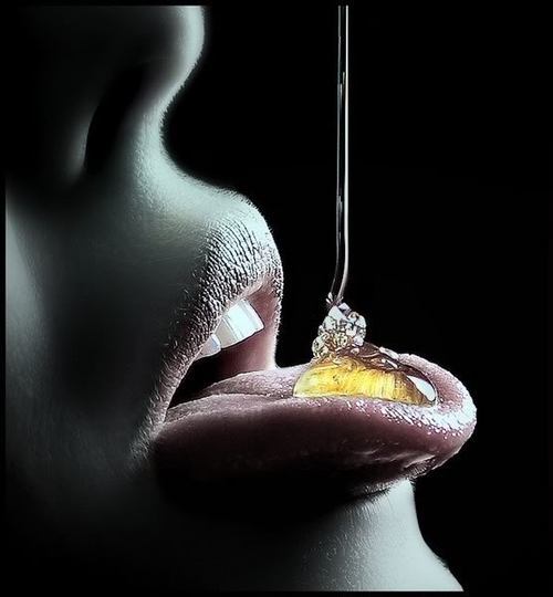 HONEYTV_913's profile picture. 'HONEY' 
the home of some of the sexiest girls on TV live on SKY channel 913

9pm till 5.30am

7 days a week

SKY channel 913