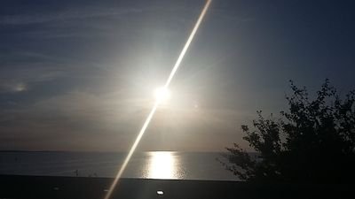 kastanie1142's profile picture. ~ It's never too late to fight for someone
 you love ❤