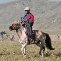 Horse Trek Mongolia(@HTMongolia) 's Twitter Profile Photo