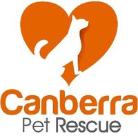Canberra Pet Rescue (@canbpetrescue) 's Twitter Profile