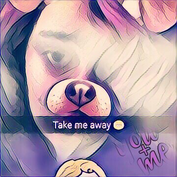 hey guy go follow my Instagram @darkkitten50018 and my Snapchat @gracegraceffa11